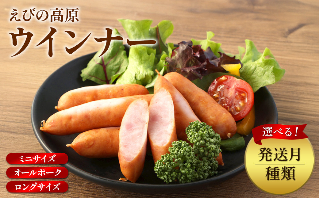 
            【選べる！】ウインナー ソーセージ ミニサイズ(6 or 10 袋 各 80g)オールポーク(6 or 10袋 各155g)ロングサイズ(6 or 10袋 各 176g)豚肉 牛肉 人気  おかず お弁当 おつまみ 総菜 冷蔵 加工品 焼肉 ギフト 九州 宮崎県 えびの市 送料無料
          