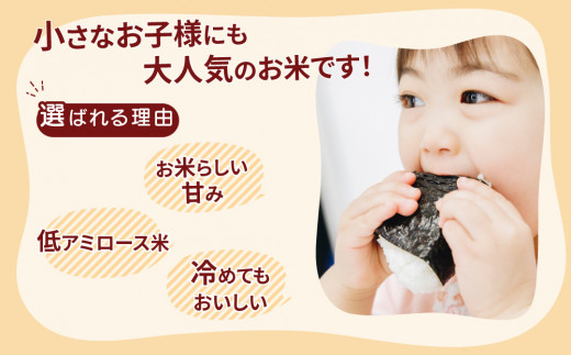 【先行予約】令和8年産 茨城県産 ミルキークイーン 玄米（5kg×1袋） ｜ 原料米調整地:茨城県土浦市 便利な少量5kgでのお届け。このお米は石抜き機、色彩選別機の処理済みです。※2026年10月～