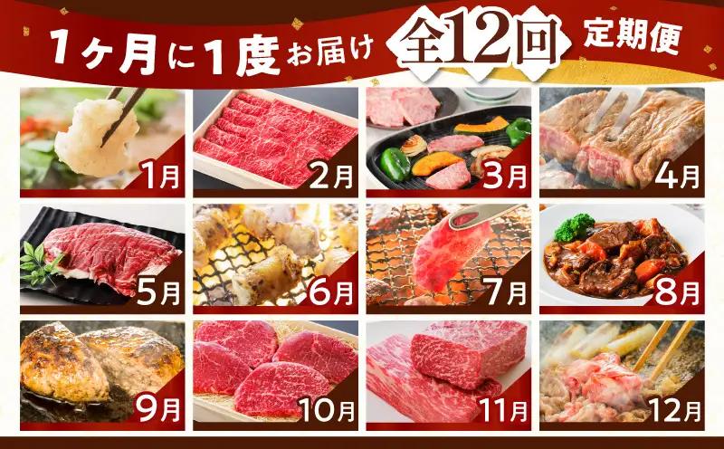 【全12回】鹿児島黒毛和牛定期便 K130-T01 肉 牛肉 冷凍