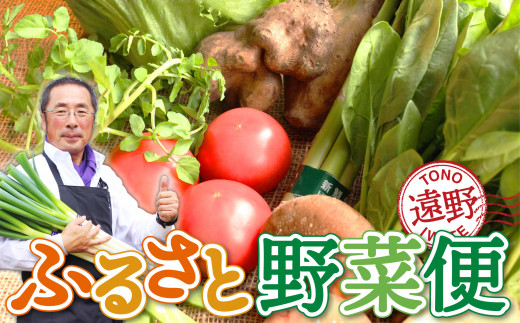 遠野 ふるさと 野菜 便 《 野菜ソムリエ 厳選》