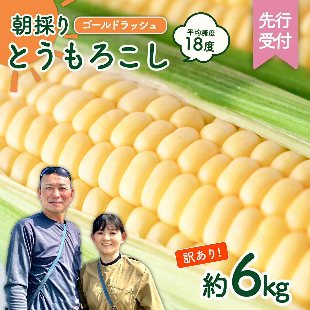 【ふるさと納税】【先行予約 令和8年産 2026年6月下旬以降発送 】 【 訳あり 】 朝採り とうもろこし （ ゴールドラッシュ ） 約 6kg トウモロコシ スイートコーン コーン 野菜 産地直送 期間限定 岩田さん 昼めし旅 2026 2026年発送 2026年先行受付 2026年
