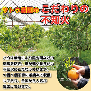 しらぬい 不知火 訳あり 家庭用 約 4kg 14個入り みかん 柑橘 デコポン 果物 フルーツ 柑橘 先行予約 徳島県 阿波市産 サトウ農園