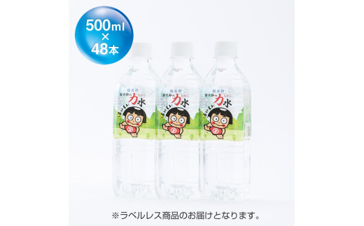 おためしAセット 南足柄 金太郎の力水 ラベルレス 500ml×48本（24本入×2箱）【飲料 飲料水 天然水 ミネラル ウォーター 水 お水 ギフト プレゼント 贈り物 お返し おいしい まとめ買い 備蓄品 神奈川県 南足柄市 】
