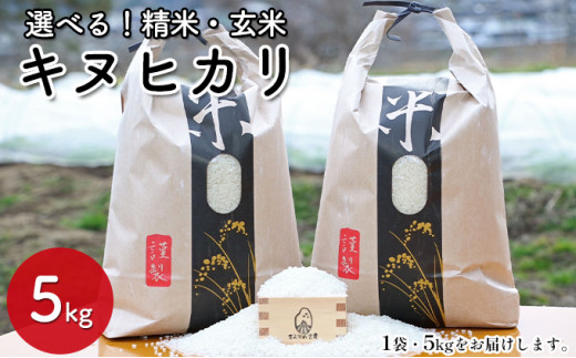 【兵庫県佐用町産】さよひめ営農のお米 5kg キヌヒカリ 玄米