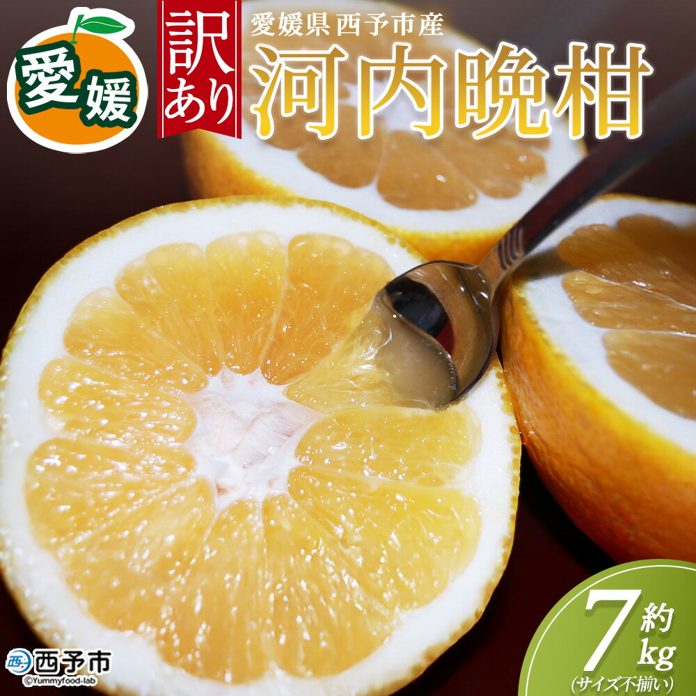 【ふるさと納税】＜訳あり 河内晩柑 約7kg＞『2026年4月中旬から順次出荷予定』かわちばんかん サイズ不揃い ご家庭用 ご自宅 訳アリ品 宇和ゴールド オレンジ 蜜柑 ミカン みかん 果物 フルーツ 柑橘 国産 愛媛県産 西予市産 西宇和 特産品 丸二青果 愛媛県西予市【常温】