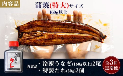 【2026年6・7月限定価格】【定期便】三河一色産うなぎ蒲焼特大2尾(計320g以上)×3回・R013-51