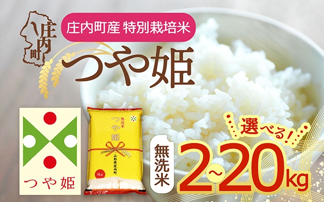 
                  【令和7年産】つや姫 無洗米 2kg～20kg 特別栽培米 山形県庄内町産 余目産 庄内米 ブランド米 米 コシヒカリの原点、亀の尾発祥の地 ごはん 粘り 甘み 香り 粒が大きい
                