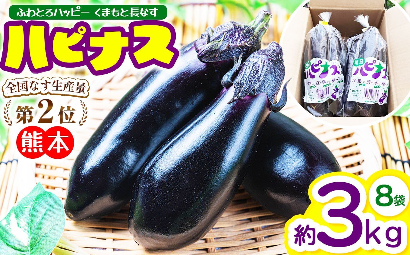 
            ハピナス 玉名市産 長なす 約3㎏（300ｇ～400ｇ×8袋）｜ 野菜 やさい 茄子 なすび とげ無 種少 薄皮 季節野菜 袋詰め 小分け 熊本県 玉名市
          
