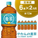 【ふるさと納税】【2か月定期便】やかんの麦茶 from 爽健美茶 PET 2L (6本×2回)【麦茶 焙煎 夏バテ予防 熱中症対策 カフェインゼロ ミネラル 2L 2リットル ペットボトル ペット 常備 備蓄 スッキリ イベント】A-R090319