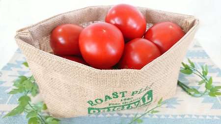【旨すぎる】こだわり絶品高原とまと【フルーツトマト約２kg】【2025年7月中旬～10月下旬発送】【A010-frks006】