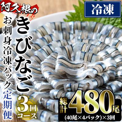 ふるさと納税 阿久根市 【毎月定期便】鹿児島県産!阿久根のきびなごお刺身セット 計480尾(40尾×4P×3回)全3回