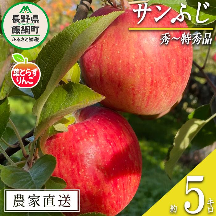 【ふるさと納税】 りんご 葉とらず サンふじ 秀 〜 特秀 5kg フレッシュフルーツミカズキ 令和7年度収穫分 長野県 飯綱町 〔 信州 果物 フルーツ リンゴ 林檎 長野 予約 農家直送 〕発送時期：2025年11月下旬〜2026年1月下旬 {***}