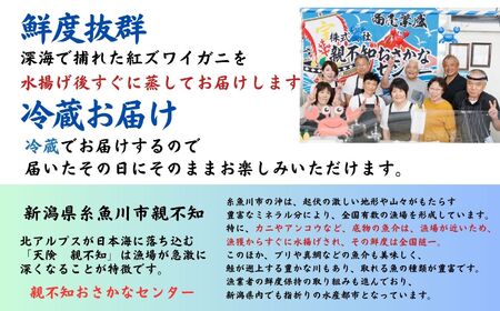 【日本海直送】紅ズワイガニ 特大(650g)2杯 1.3kg 鮮度抜群！蒸しガニ  親不知おさかなセンター【ベニズワイガニ カニ かに 紅ずわいがに】