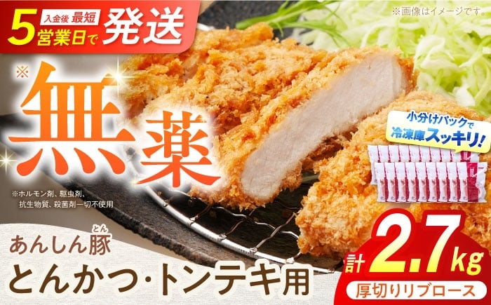 
            厚切り！とんかつ・トンテキ用リブロース 150g×18枚（計2.7kg） 豚肉 小分け トンカツ 厚切り 冷凍 白川町 / 藤井ファーム [AWAF069]
          