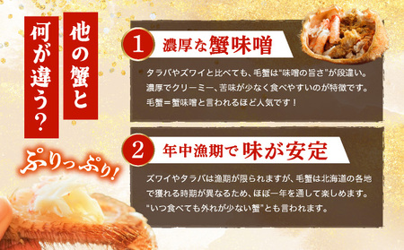 毛ガニ（姿身）Lサイズ 1尾　ogm-017