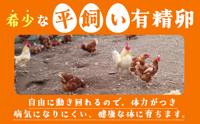 3ヵ月連続お届け  たまごの心 40個 Lサイズ  太陽の園  の平飼たまご  有精卵 北海道 伊達市 たまご 卵 生たまご 鶏卵 北海道産 鶏の卵 ポリスブラウン 食材 卵かけごはん TKG オムレ