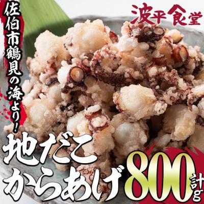 ふるさと納税 佐伯市 豊後佐伯　地だこからあげ