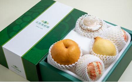 梨 2024年 先行予約 あたご梨・鴨梨（ヤーリー）詰合せ 合計約3kg 贈答箱 ナシ なし 岡山県産 国産 フルーツ 果物 ギフト 石原果樹園 [No.5220-0575]