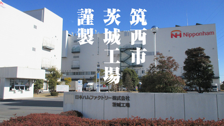 日本ハム 筑西工場 ギフトセットC 肉 にく 贈答 ギフト 詰め合わせ ハム ソーセージ ウィンナー 生ハム 焼豚 [AA083ci]