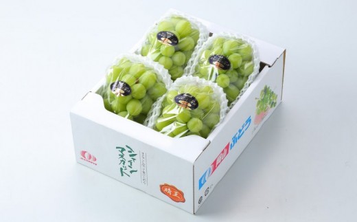岡山県産 シャインマスカット晴王 約2kg 3～6房 | フルーツ 果物 くだもの ぶどう ブドウ シャインマスカット 晴王 国産 岡山県産 食品 人気 おすすめ ギフト 贈り物 贈答品 プレゼント 