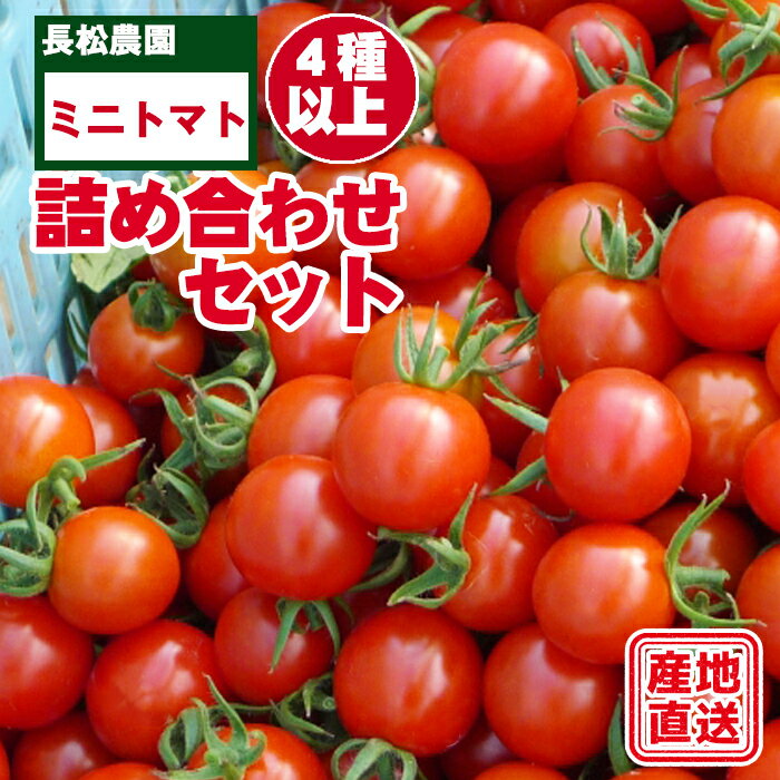 【ふるさと納税】 ミニトマト おすすめ 長松農園 4種類 以上 約 2kg セット ／ 2kg 2キロ 2キロ 野菜 夏野菜 詰め合わせ 詰合せ 詰め合せ 詰合わせ 詰めあわせ 食べ比べ 食べくらべ 旬 国産 数量限定 期間限定 季節限定 岩手県 滝沢市 送料無料 滝沢産業開発