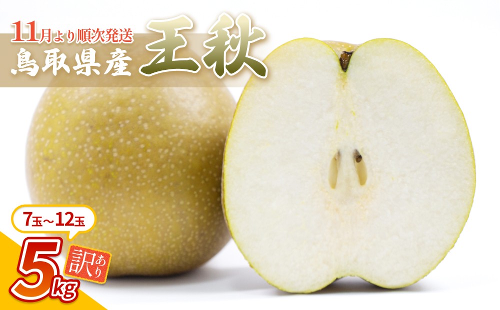 
                  【先行予約】（訳あり）中野農園 梨 ”王秋梨” 5kg箱｜鳥取 岩美 梨 なし ナシ 赤梨 果物 フルーツ ※お届けは2026年11月以降【41018】
                