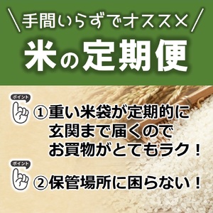 【定期便/３回】コシヒカリ 白米10kg ×3か月連続お届け