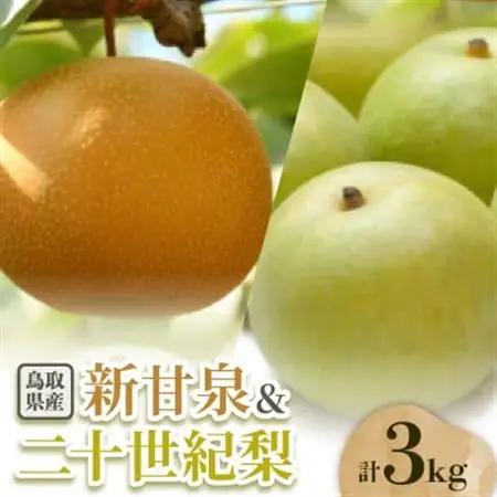 二十世紀梨と新甘泉のセット 3kg【配送不可地域：離島・北海道・沖縄県】【1593387】