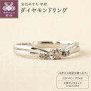 【ふるさと納税】 リング 指輪 ジュエリー レディース アクセサリー 天然 ダイヤモンド 0.08ct 選べる地金 プラチナ ホワイトゴールド V字 存在感 主役級 普段使い パーティー シンプル 高級感 贅沢 特別 4月 誕生石 ジュエリーケース付 ギフトバック付 保証書付 k295-051