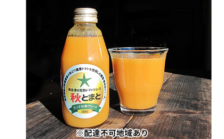 南会津の100％トマトジュースセット（秋とまと  無塩・無添加） 果汁飲料 野菜飲料 