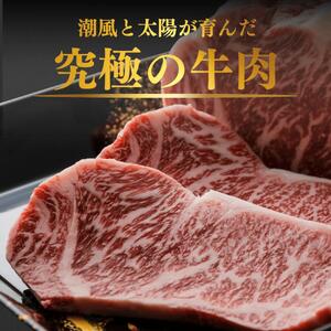 淡路牛（交雑牛）ロースステーキ　約200ｇ×3枚