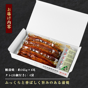 【ふるなび限定】鹿児島県産 鰻の蒲焼(無頭背開き)約165g×4尾 山中水産 033-1066 うなぎ うなぎ うなぎ うなぎ うなぎ 鰻