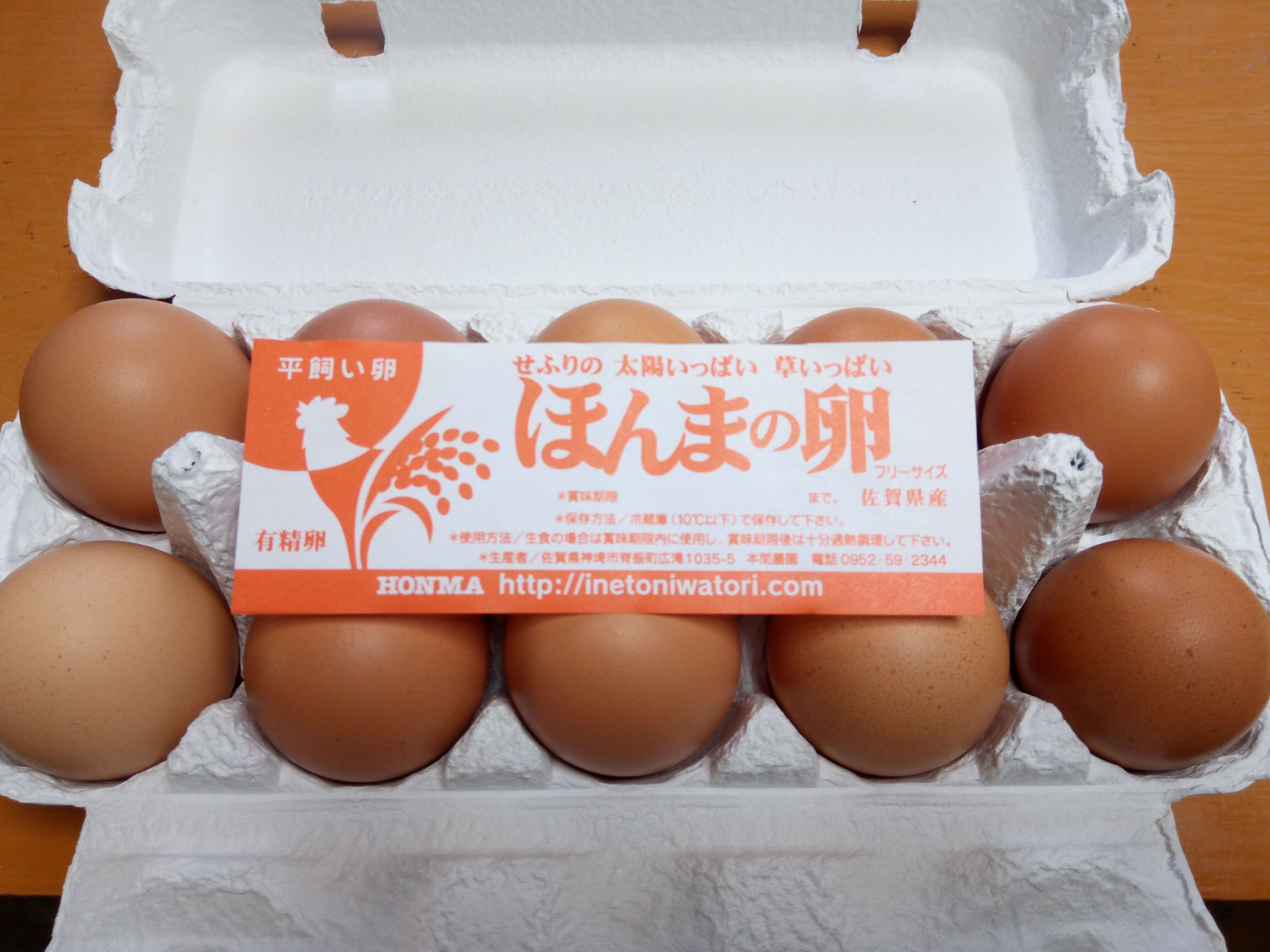 たまご 卵 玉子 タマゴ 卵料理 たまごかけごはん 朝食 定期便 平飼い ほんまの卵 鶏卵 