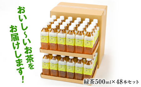 【定期便2カ月に1回、計3回】 お茶 ペットボトル おいし～い緑茶（500ml×48本) お茶