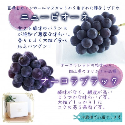 岡山　花笑み農園の『ニューピオーネ＆オーロラブラック』1kg(2房)　PA-1【9月上旬～順次発送】【配送不可地域：離島・北海道・沖縄県】