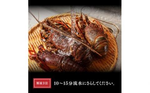 【訳あり】冷凍伊勢海老2kg（3～10尾）【期間限定 数量限定 魚介類 えび 伊勢えび イセエビ】[C01707]