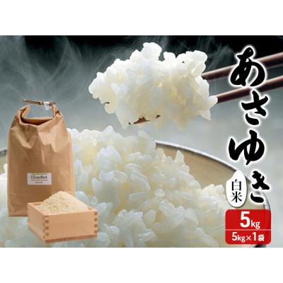 ふるさと納税 鰺ヶ沢町 令和7年産 あさゆき 白米 5kg 1袋 米 精米 [53841311]
