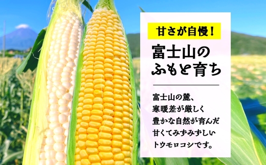 とうもろこし イエロー ＆ ホワイト 2種 食べ比べ 恵味ゴールド 白い恵味 400g以上 各6本 計12本 野菜 おやつ 旬 産地直送 送料無料 湖南野菜出荷組合 山梨県 富士河口湖町 FEM009