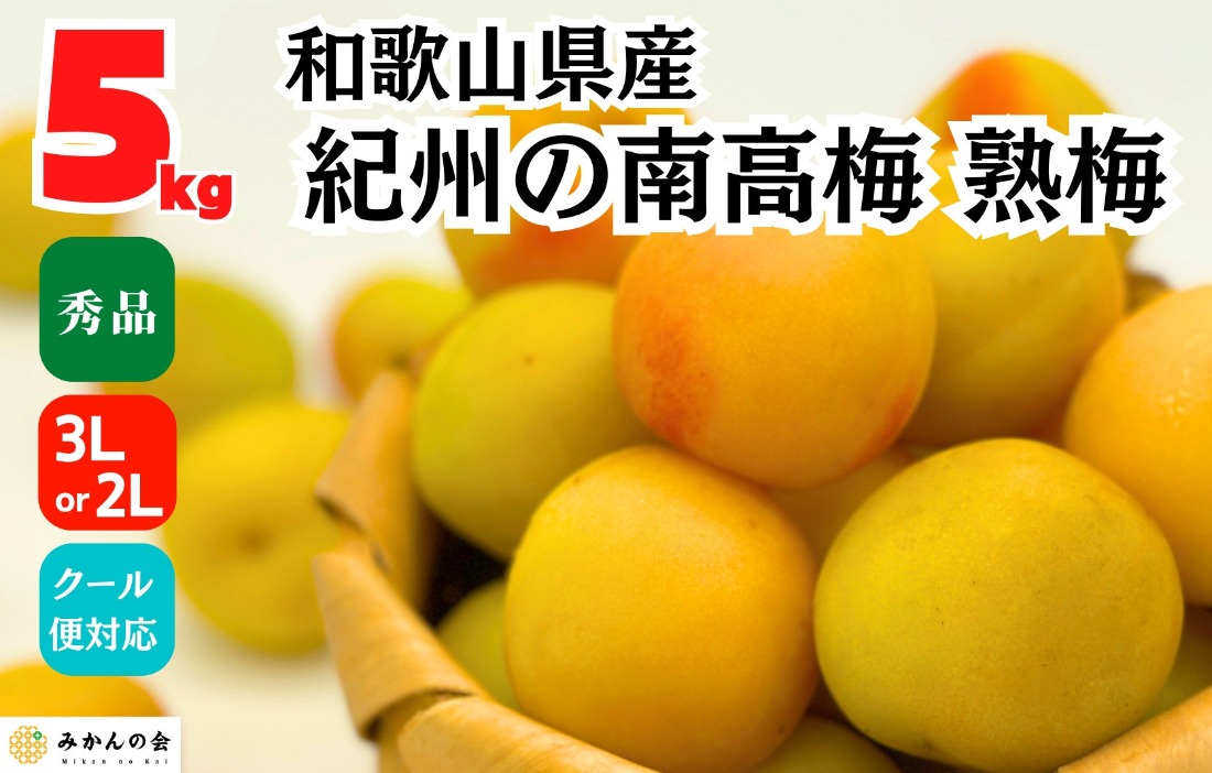 熟梅 南高梅 5kg 秀品 3Lまたは2Lサイズ 和歌山県産 A品 梅干し作り用 梅ジャム作り用 	AX403