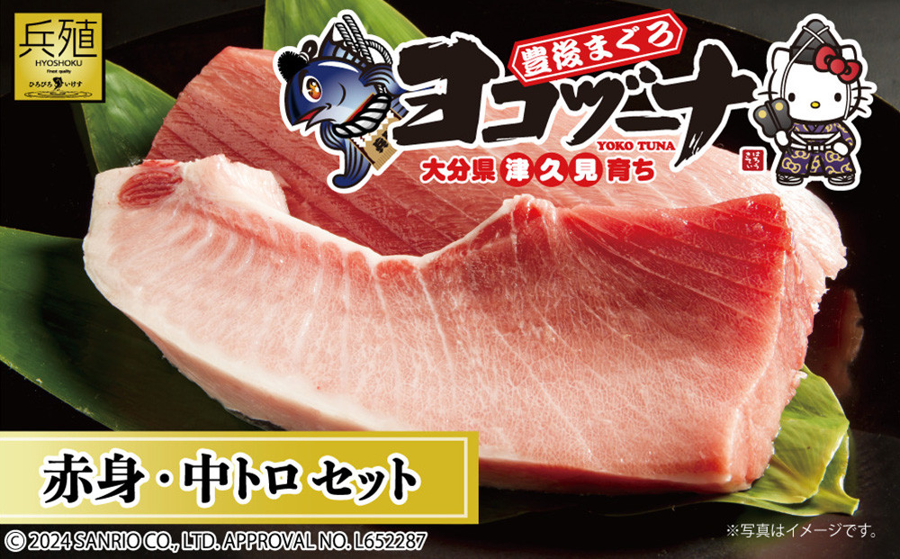 
            豊後まぐろ ヨコヅーナ  赤身400ｇ 中トロ400g 鮪 マグロ 海鮮丼 刺し身 盛り合わせ 冷凍 魚の刺身 大分県産 九州産 津久見市 
          