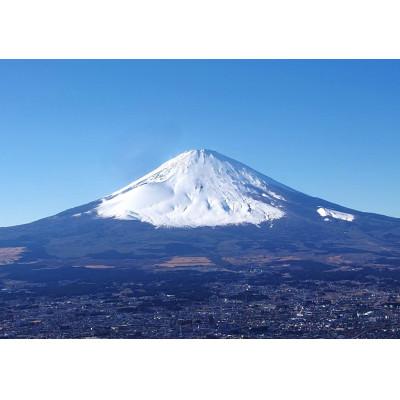 ふるさと納税 御殿場市 富士山が育んだひのきのたまご |  | 03
