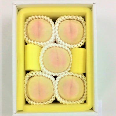 岡山県産　白桃 5玉　約1.3kg【配送不可地域：離島】【1493866】