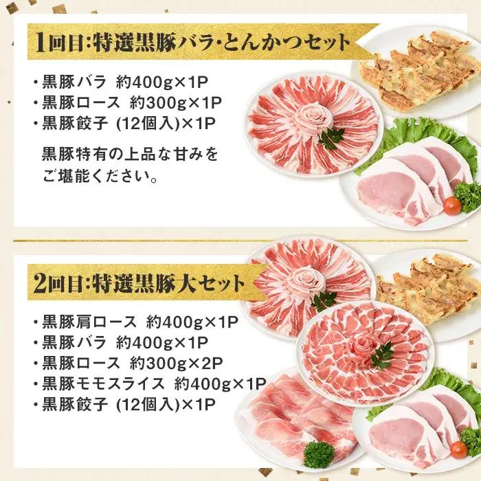 ＜定期便・全5回＞かごしま黒豚まんぞく定期便B (月1回×5ヶ月) 国産 黒豚 焼豚 肩ロース 餃子 しゃぶしゃぶ【和田養豚】D02007