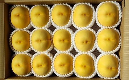 【数量限定】桃（黄貴妃）５ｋｇ　特秀品　0106-2603