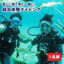 【ふるさと納税】ダイビング 体験 錦浜 《壱岐市》【シーガルイン】[JAB002] 旅行/海/アウトドア/ダイビング 33000 33000円 のし プレゼント ギフト