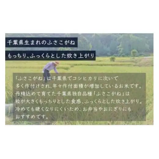 【最短2～7営業日出荷】令和7年産 千葉県産「ふさこがね」20kg（5kg×4袋） A005