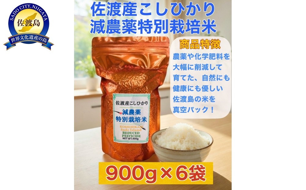 
                  【令和7年産】佐渡島産コシヒカリ 特別栽培米 真空パック900g×6袋 計5.4kg 単一原料米 | 新潟県産コシヒカリ 新潟産コシヒカリ 佐渡産コシヒカリ 新潟県産こしひかり 佐渡産こしひかり トキ 朱鷺 お米 米 こしひかり 白米 精米 真空パック 小分け ギフト 贈答 にいがた さど 新潟県 佐渡市
                