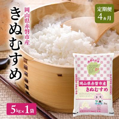 ふるさと納税 赤磐市 米 2025年産 定期便 4ヵ月 きぬむすめ 5kg 1袋 [NO5765-1446]