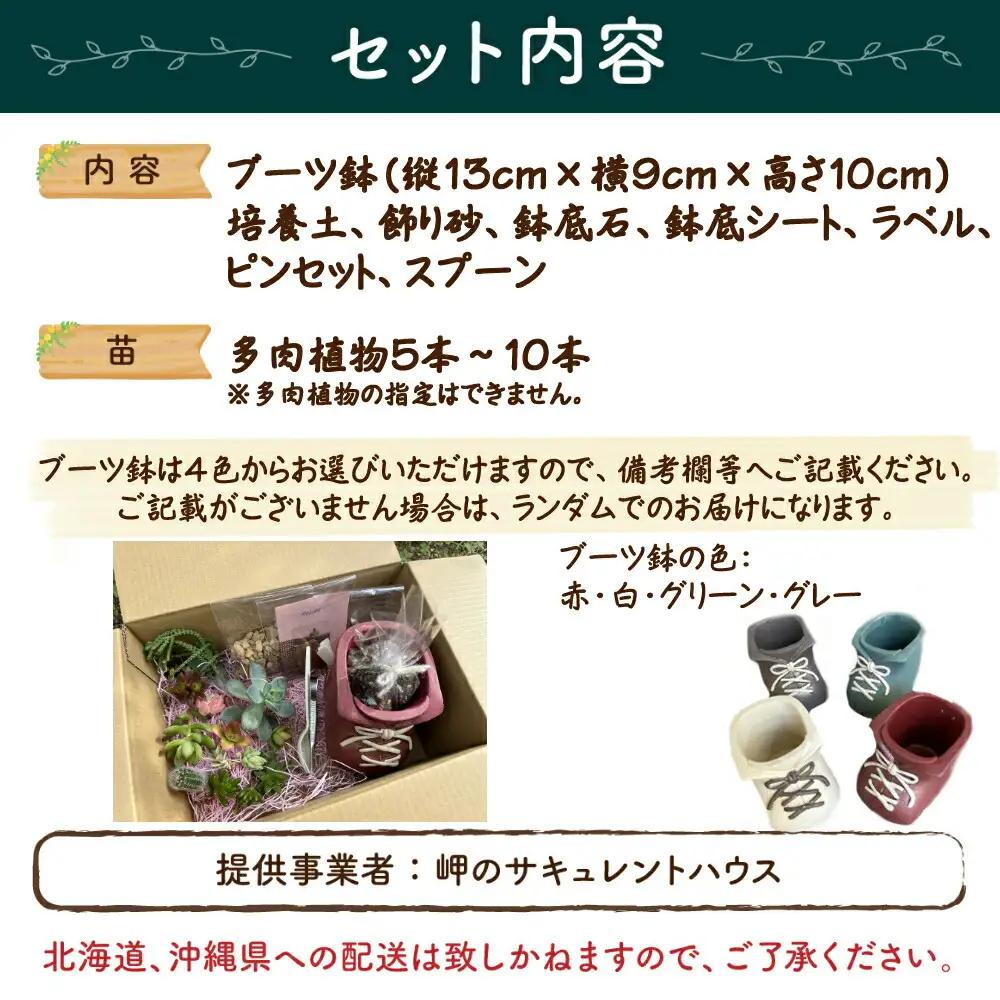 多肉植物の寄せ植えセット5本～10本