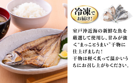 トロ鯵の干物セット（海洋深層水仕込み） _iz006